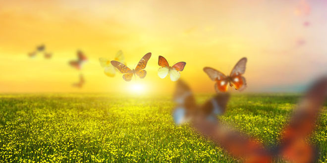 Toch hoor jij er altijd bij